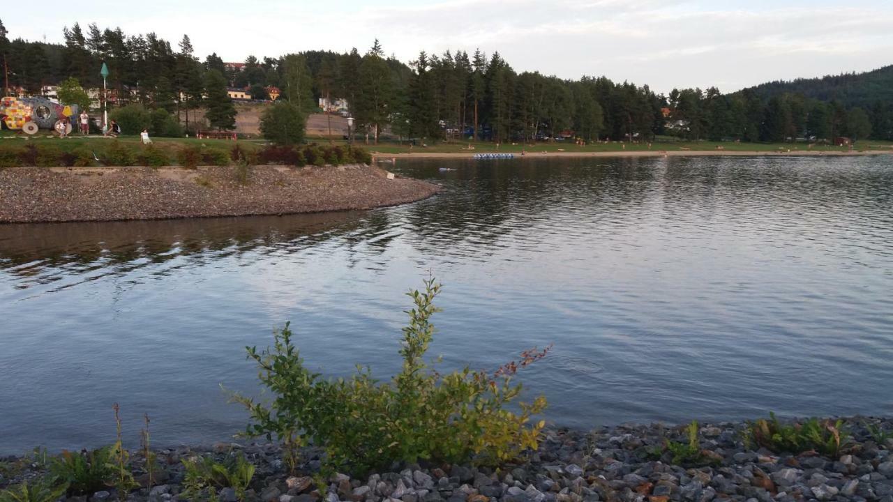 Апартаменти Riviera Lipno 510/13 Ліпно-над-Влтавою Екстер'єр фото